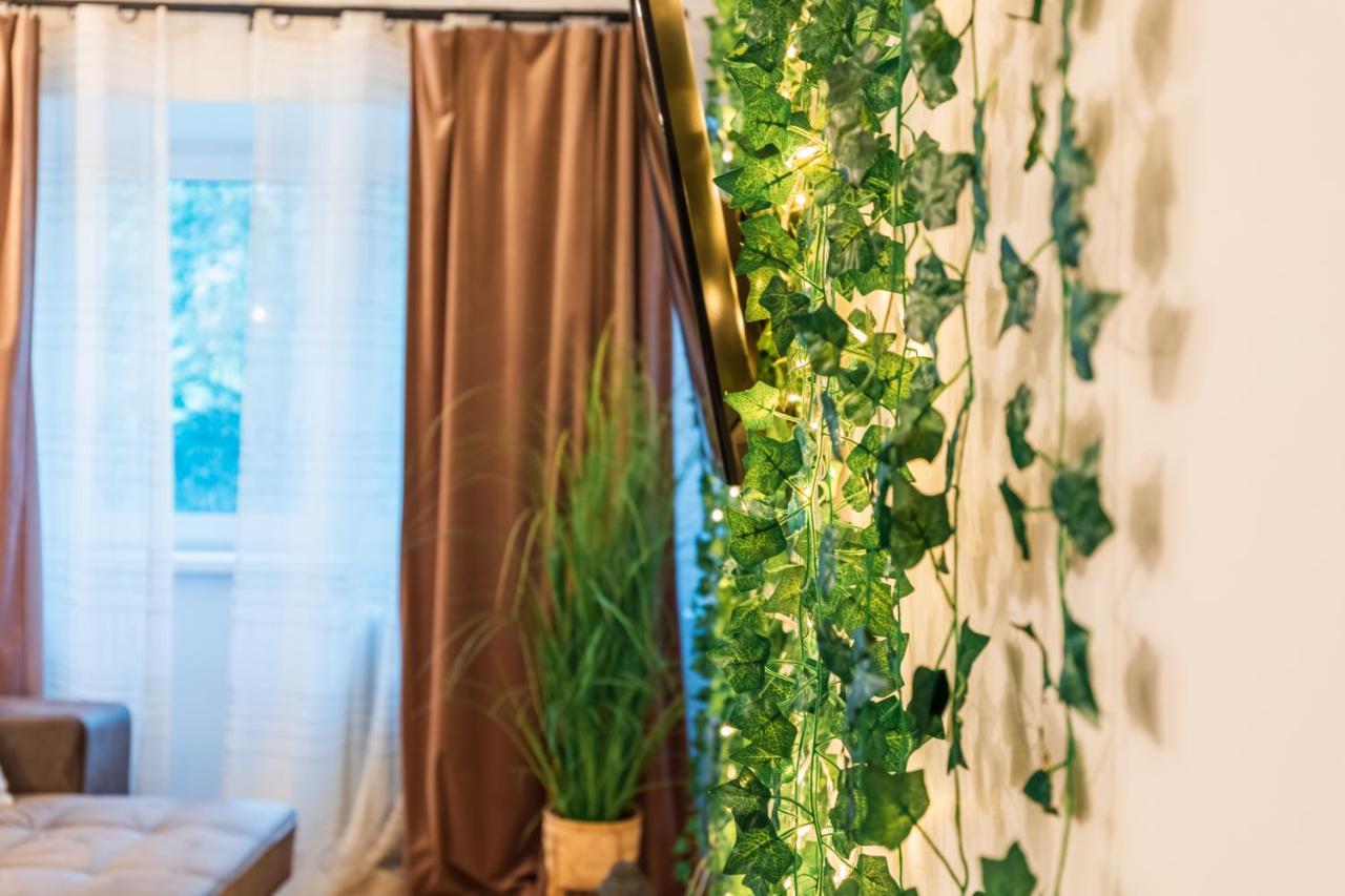 Jungle Apartment 15 Min Walk To Beach & Downtown Констанца Екстериор снимка