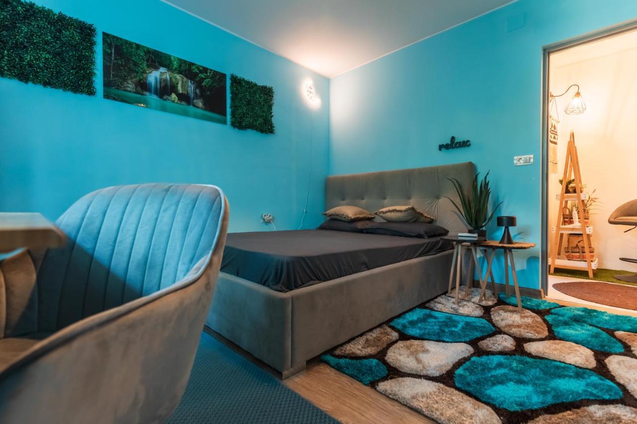 Jungle Apartment 15 Min Walk To Beach & Downtown Констанца Екстериор снимка