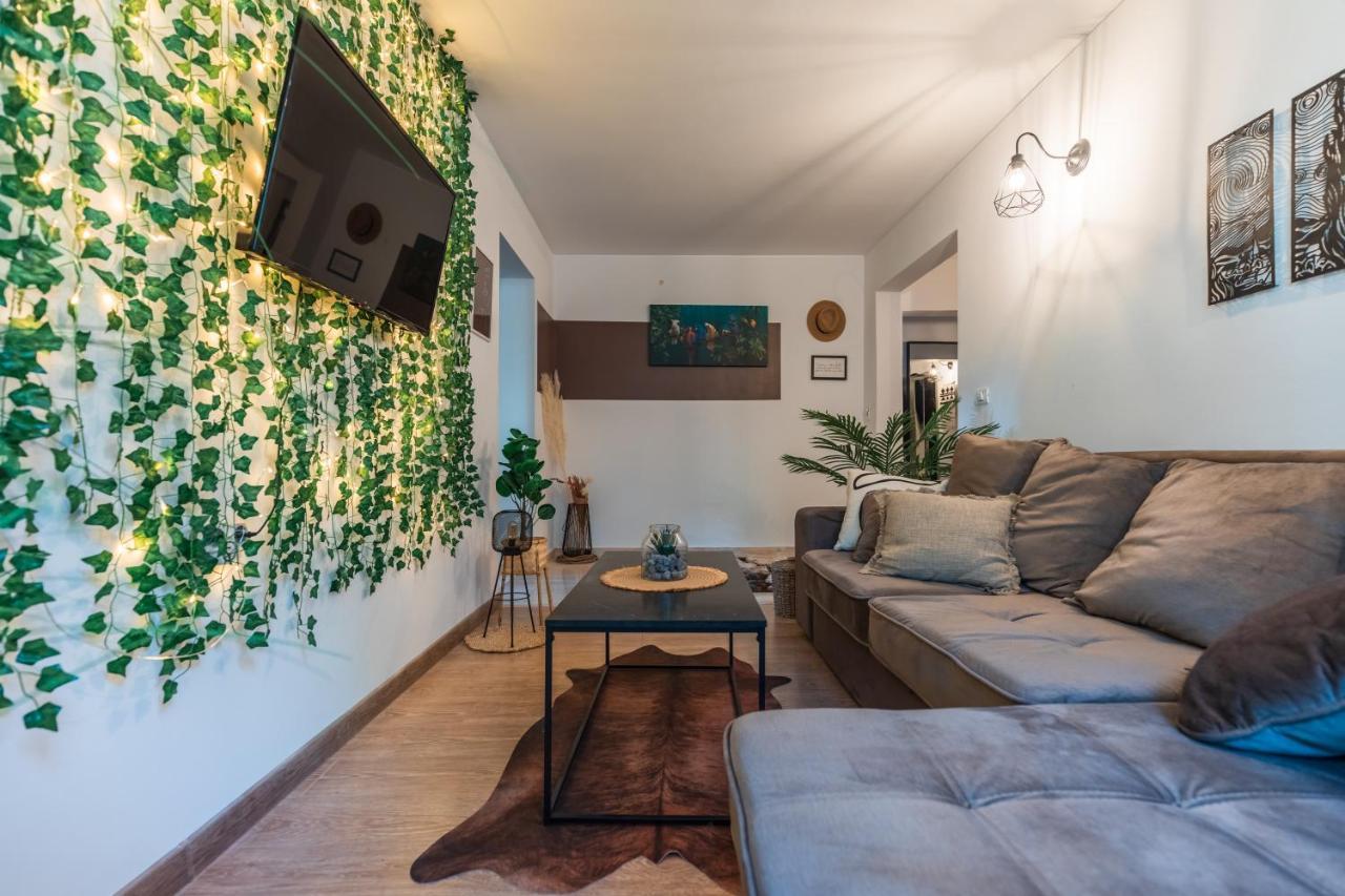 Jungle Apartment 15 Min Walk To Beach & Downtown Констанца Екстериор снимка