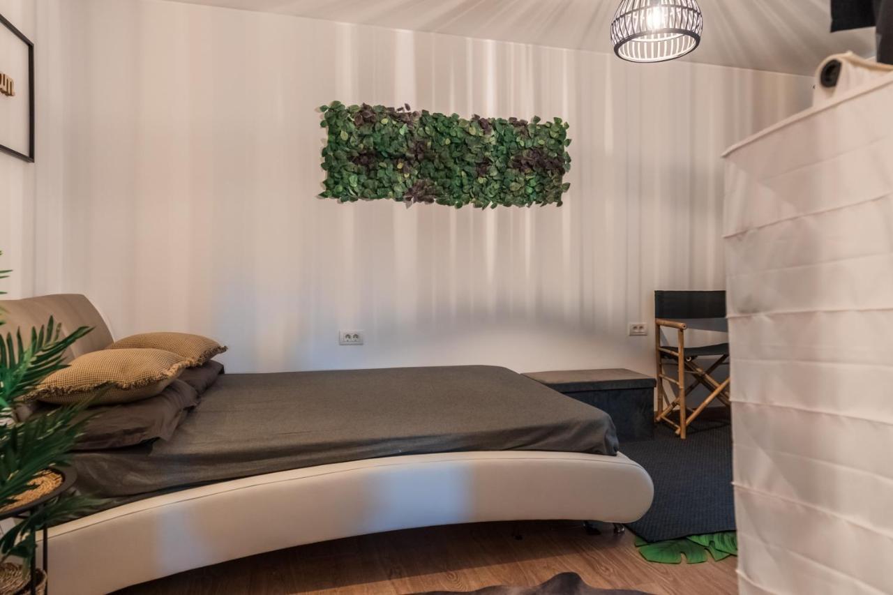 Jungle Apartment 15 Min Walk To Beach & Downtown Констанца Екстериор снимка